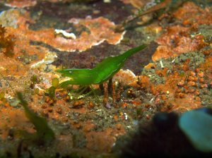 857289_4147045449392_275085785_o