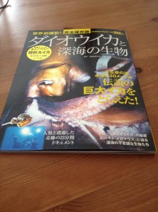 The Giant Squid - Japan's most popular underwater creature this summer! 