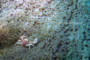 10406837_863357550349618_9151069360900970911_n