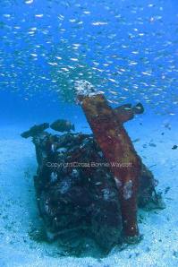 10690316_863357507016289_2567728846454390582_n